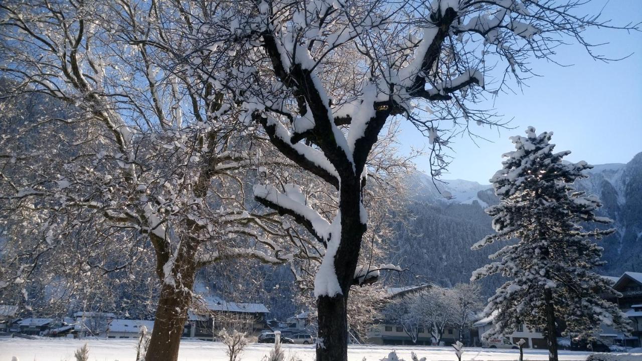 Hotel Garni Birkenhof Mayrhofen Εξωτερικό φωτογραφία
