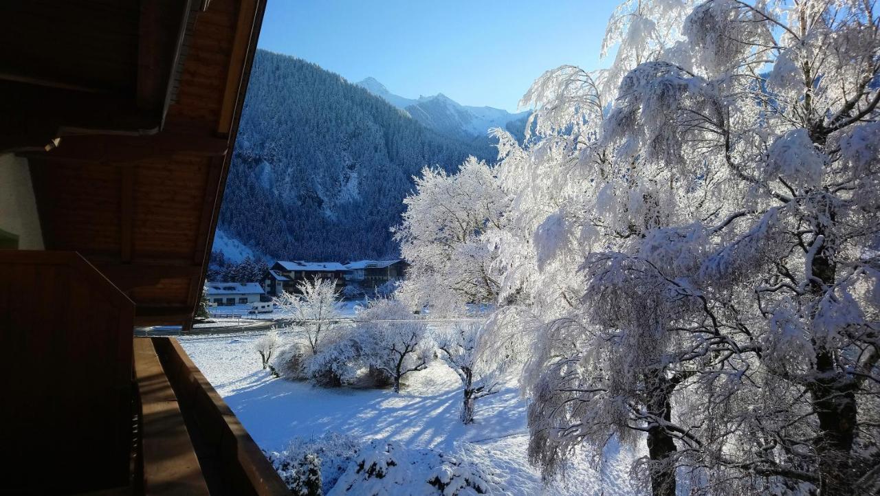 Hotel Garni Birkenhof Mayrhofen Εξωτερικό φωτογραφία